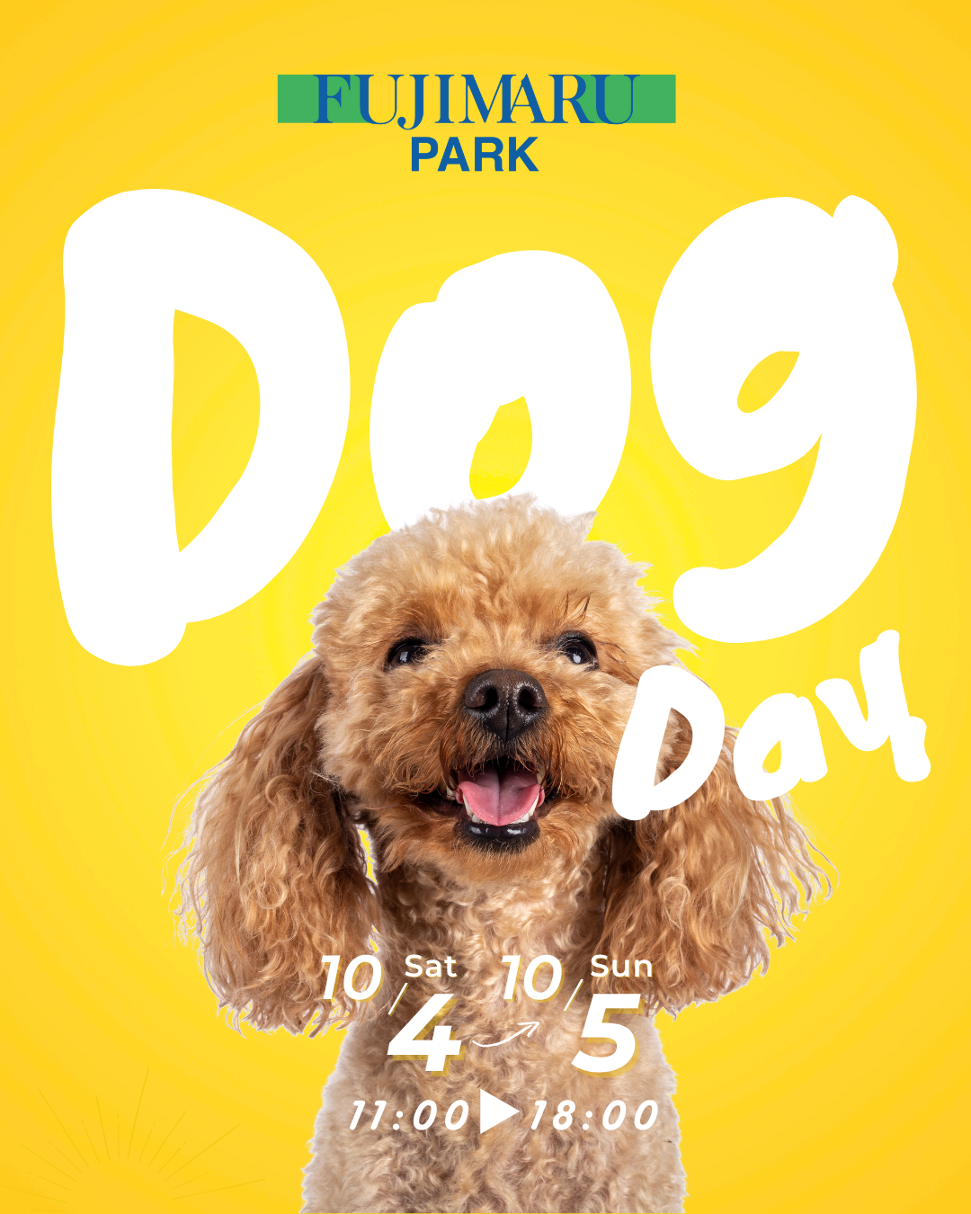 藤丸パークDOG DAY